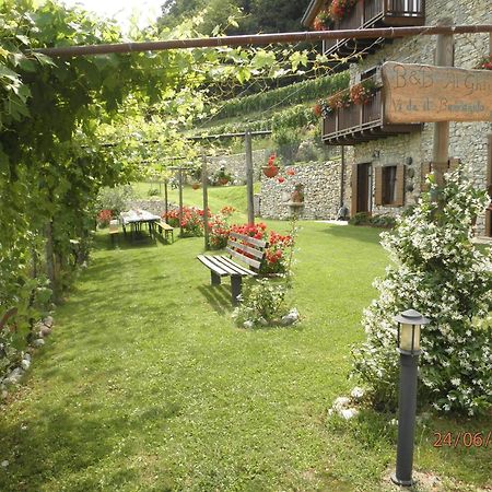 B&B Al Ghiro 빌라 라가리나 외부 사진